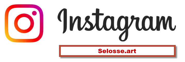 Logo Instagram avec mention « Selosse.art » — profil de Jérôme Selosse, artiste peintre expressionniste à Bruxelles.
